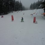 phoca_thumb_m_lyovn - zvody 7.2.  45 Fotogalerie